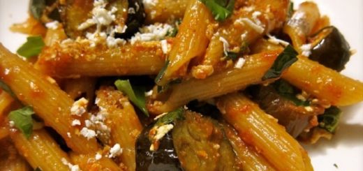 penne melanzane pomodori verdi e formaggio di san vittore